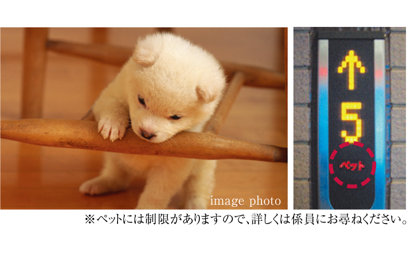 ペット同居可