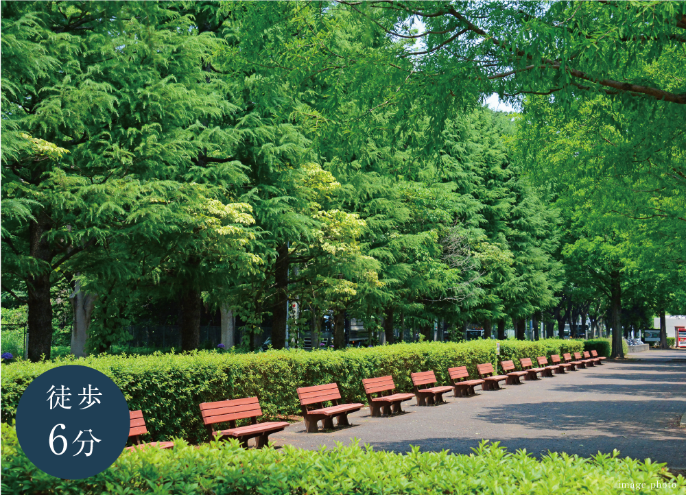 朝霞中央公園