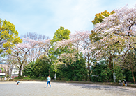 池袋本町公園／徒歩12分（約900m）※MAP外