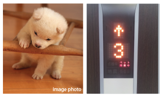 ペットと一緒に生活